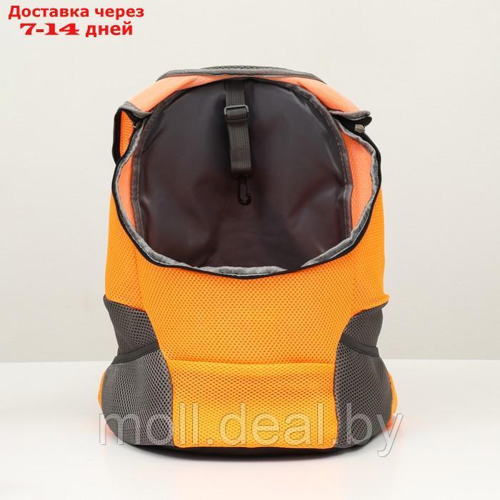 Рюкзак-переноска для животных, максимальный вес 16 кг, 36 х 21 х 45 см, оранжевый - фото 6 - id-p213485423