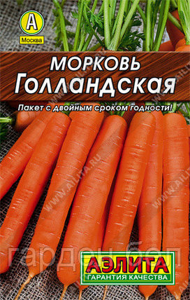 Морковь Голландская 2г Аэлита, фото 2