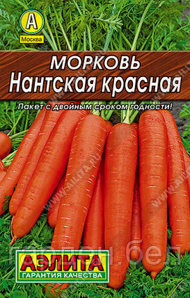 Морковь Нантская красная 2г Аэлита, фото 2