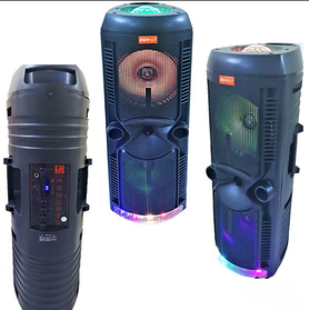 Колонка напольная акустическая DIGIVOLT DG-1062 дискошар + микрофон