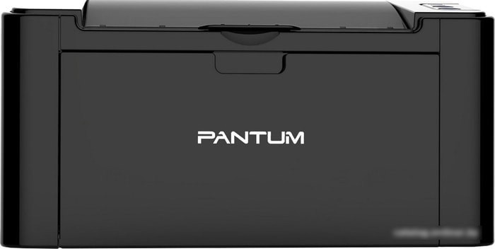 Принтер Pantum P2500W - фото 1 - id-p213224123