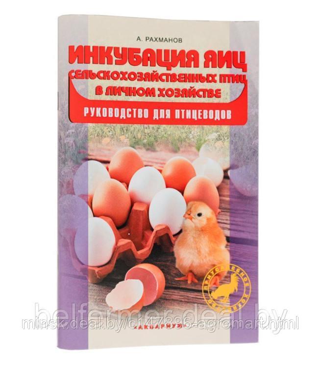Инкубатор Несушка на 104 яйца (автомат, цифровое табло, 220+12В) арт. 64 - фото 6 - id-p213542504
