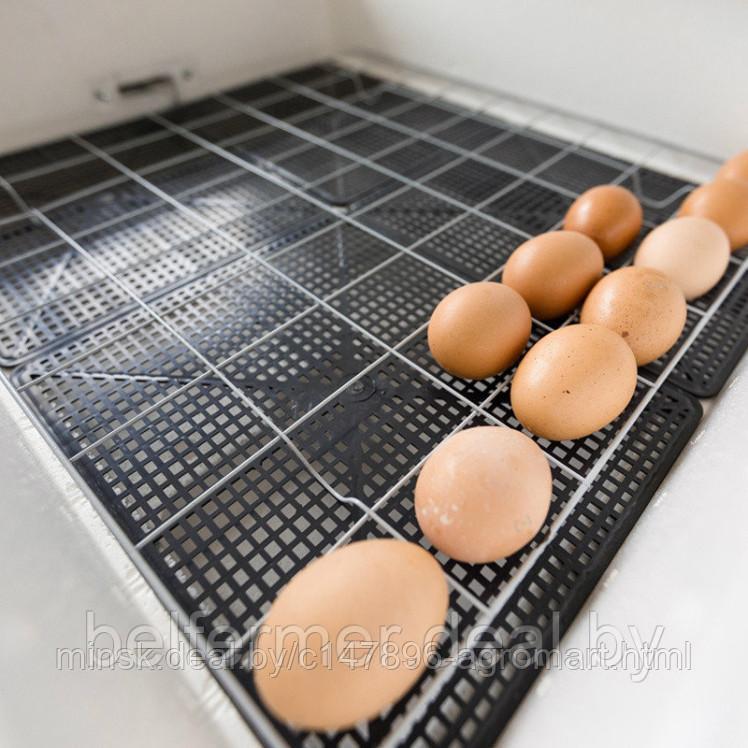 Инкубатор Несушка на 63 яйца (автомат, аналоговый с табло, 220+12В) арт. 75 - фото 5 - id-p213542508