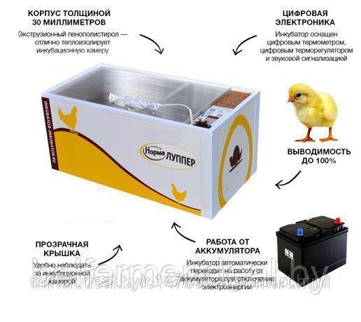 Инкубатор Норма ЛУППЕР С10 (Автомат, 72 яйца + Гигрометр + 12В). Корпус - пластиковые сэндвич-панели - фото 3 - id-p213542512