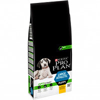 Pro Plan Puppy Large Athletic (Курица), 12 кг