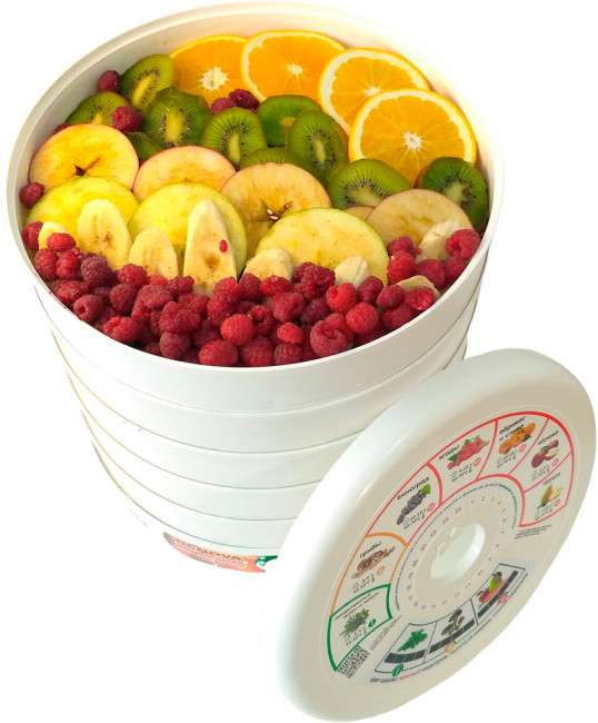 Сушилка для овощей и фруктов Renova DVN31-500/5 - фото 3 - id-p207267000