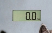 Весы напольные Redmond RS-735 котята - фото 3 - id-p194257488