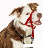 Недоуздок Halti Headcollar 12406/COA (Size 2, красный), фото 5