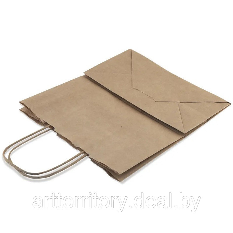 Пакет бумажный Крафт с кручеными ручками, 22х12х25 см, 70 гр/м2 - фото 2 - id-p213598507