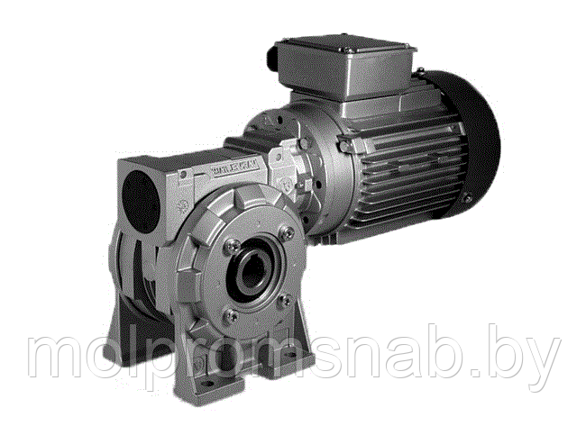 Червячный мотор-редуктор RS (VARVEL)