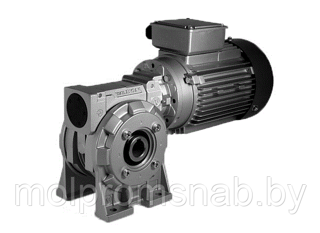 Червячный мотор-редуктор RS (VARVEL) - фото 1 - id-p30344430