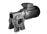 Червячный мотор-редуктор RMI (STM)