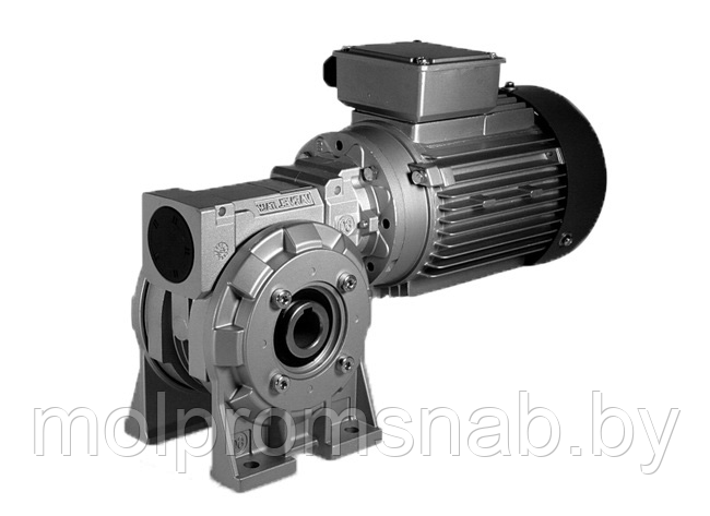 Червячный мотор-редуктор RMI (STM) - фото 1 - id-p30344658