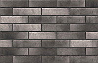 Клинкерная плитка Cerrad Retro Brick Pepper 65х245х8