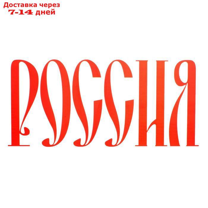Термонаклейка "Россия", 40 х 18 см, набор 10 шт. - фото 1 - id-p213591127