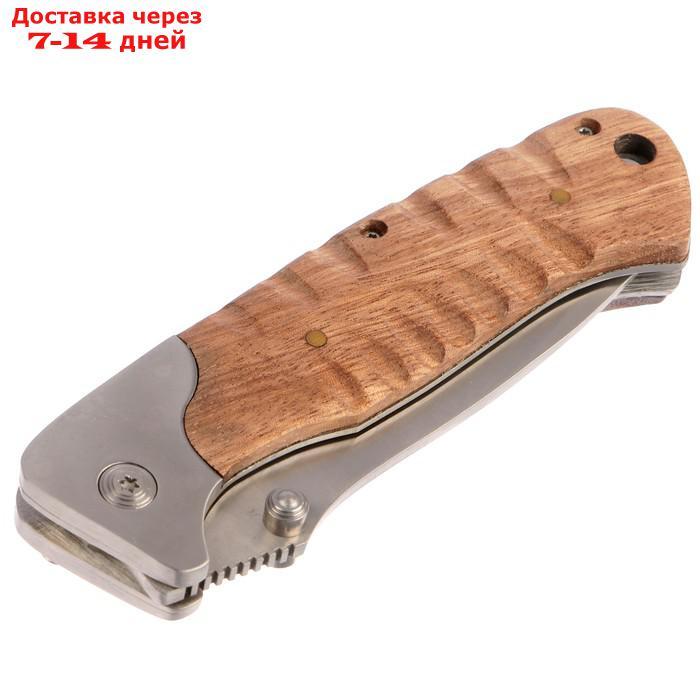 Складной нож Stinger, 85 мм, рукоять: сталь, дерево, коробка картон - фото 2 - id-p213593182