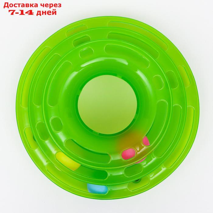 Игровой комплекс "Пижон" для кошек с 3 шариками, 24,5 х 24,5 х 13 см, зелёный - фото 4 - id-p213591161