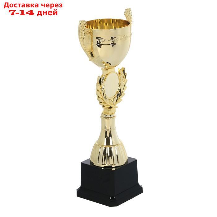 Кубок спортивный, золото, 26,5 х 7 х 6 см - фото 2 - id-p213591332