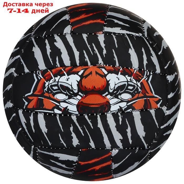 Мяч волейбольный ONLITOP "Тигр", размер 2, 150 г, 2 подслоя, 18 панелей, PVC, бутиловая камера - фото 3 - id-p213591354