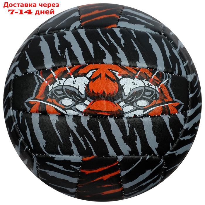 Мяч волейбольный ONLITOP "Тигр", размер 2, 150 г, 2 подслоя, 18 панелей, PVC, бутиловая камера - фото 4 - id-p213591354