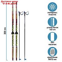 Комплект лыжный БРЕНД ЦСТ, 205/165 (+/-5 см), крепление NN75 мм, цвета микс