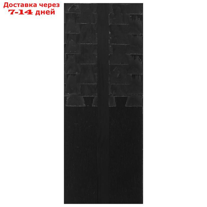 Комплект лыжный БРЕНД ЦСТ (Step, 150/110 (+/-5 см), крепление: NNN), цвета МИКС - фото 4 - id-p213591480