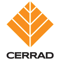 Керамогранит Cerrad