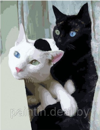 Рисование по номерам "Две кошки" картина