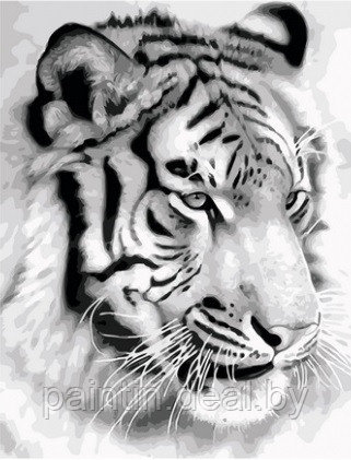 Рисование по номерам "Белый тигр" картина