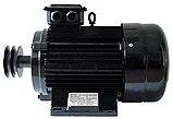 Компрессорный двигатель ELAND EN-55/3 (5,5кВт;380В), фото 3