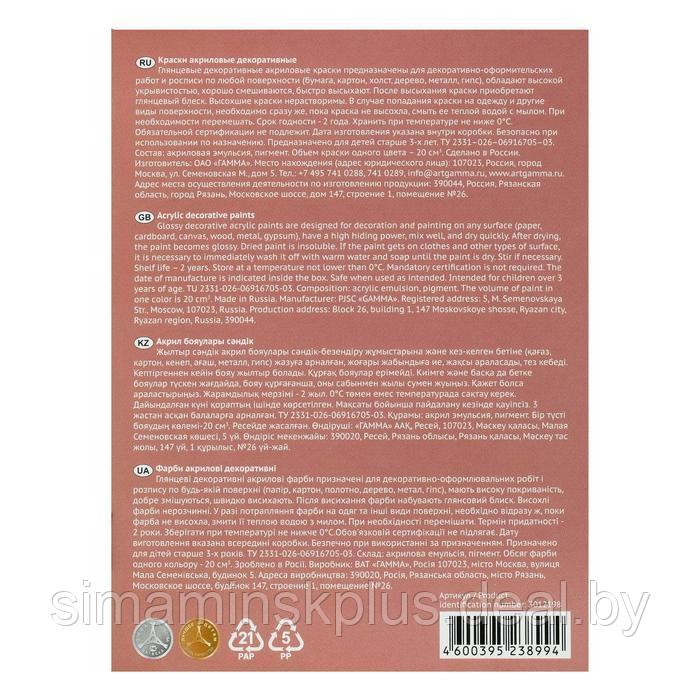 Краска акриловая, набор 12 цветов х 20 мл, Гамма "Хобби", морозостойкая, глянцевая, 3012198 - фото 4 - id-p213938213