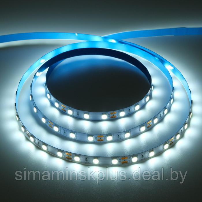 Светодиодная лента Ecola PRO 5 м, IP20, SMD5050, 60 LED/м, 14.4 Вт/м, 12 В, 6000К - фото 1 - id-p213940383