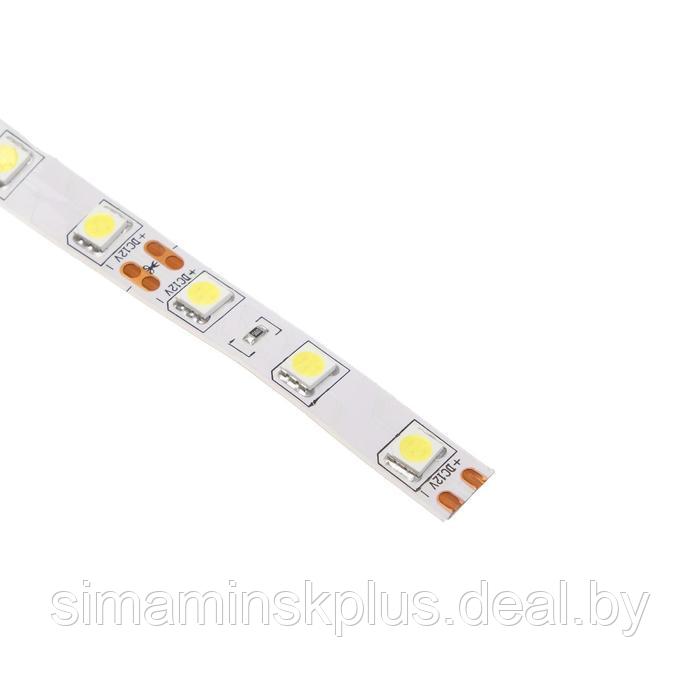 Светодиодная лента Ecola PRO 5 м, IP20, SMD5050, 60 LED/м, 14.4 Вт/м, 12 В, 6000К - фото 2 - id-p213940383