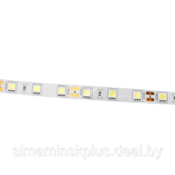 Светодиодная лента Ecola PRO 5 м, IP20, SMD5050, 60 LED/м, 14.4 Вт/м, 12 В, 6000К - фото 3 - id-p213940383