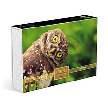 Пазлы «Мудрая сова» в подарочной коробке, 500 элементов + постер