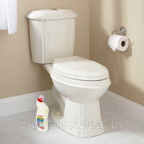 Средство для уборки туалета кислотное 750 г, LAIMA PROFESSIONAL "Лимон-WC Гель", утенок цена без НДС - фото 5 - id-p212051665