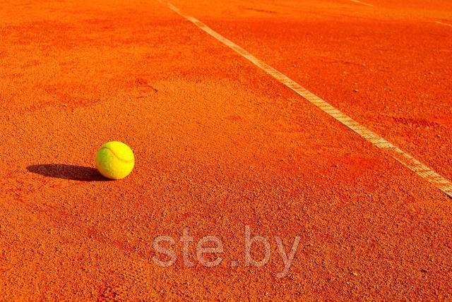 Купить теннисит в Минске