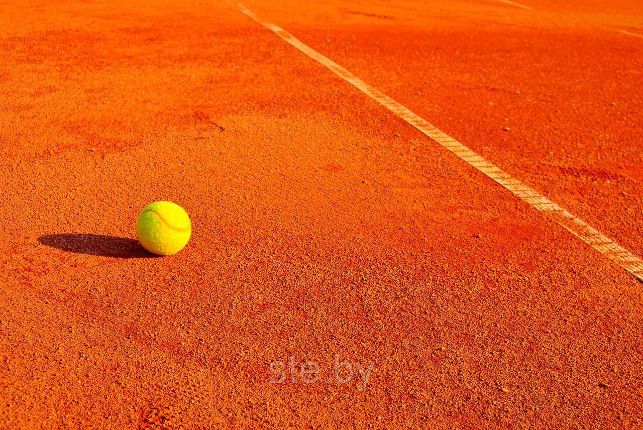 Теннисит (молотый кирпич/кирпичная крошка) - фото 6 - id-p189977547