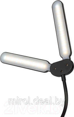 Настольная лампа ЭРА NLED-512-6W-BK / Б0057208 - фото 4 - id-p214025202