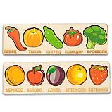 Овощи и фрукты - Умный сундучок, фото 2