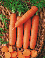 Морковь Без сердцевины, семена, 2гр, Польша, (сдв)