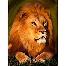 Величественный лев. Алмазная мозаика Art City 30 x 40 см