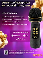 Беспроводной микрофон караоке с Bluetooth EXPERTS WM-710 черный