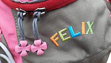 Рюкзак школьный Felix / Salewa, розовый, 10L/, фото 3
