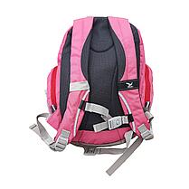 Рюкзак школьный Felix / Salewa, розовый, 10L/, фото 2