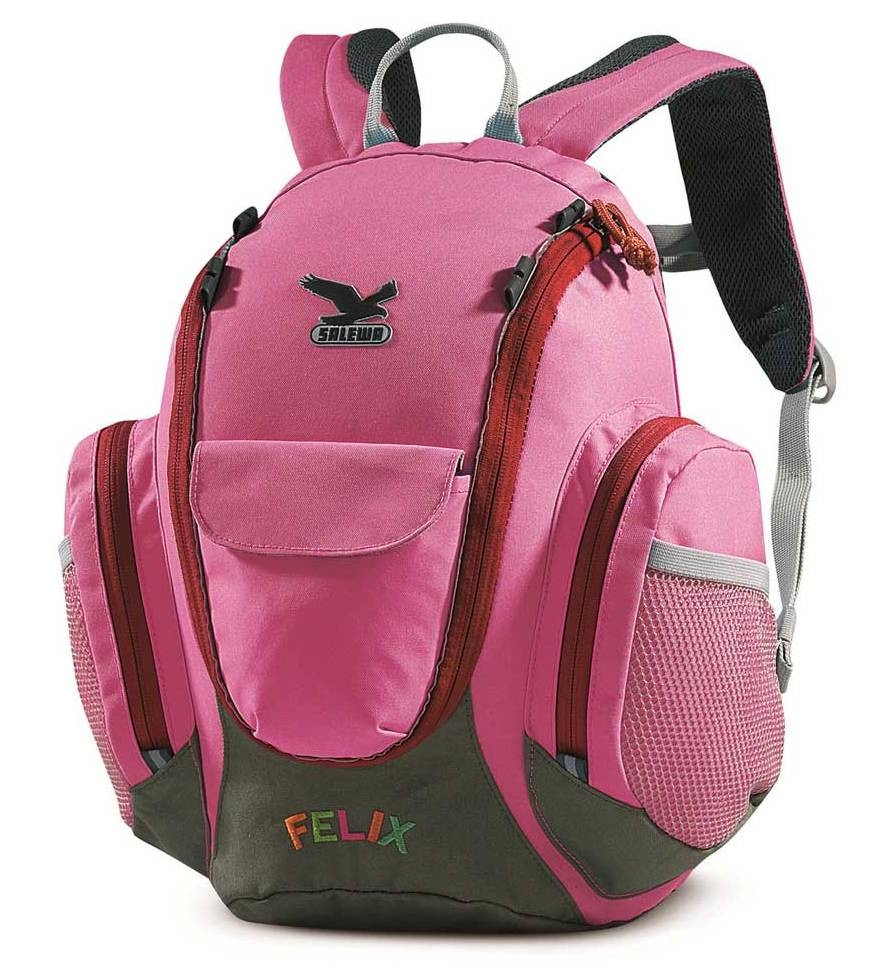 Рюкзак школьный Felix / Salewa, розовый, 10L/