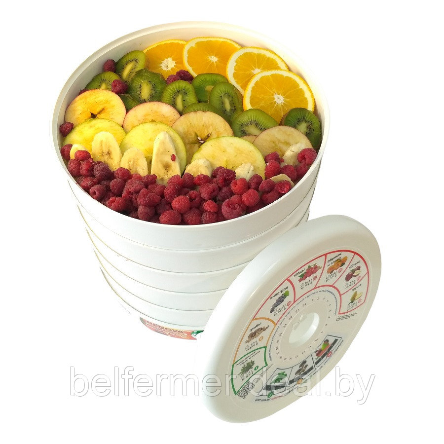 Сушилка для овощей и фруктов RENOVA DVN31-500/5, 500 Вт - фото 4 - id-p214087128