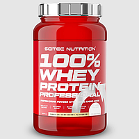 Протеин Whey Protein Prof Scitec Nutrition 920г шоколад