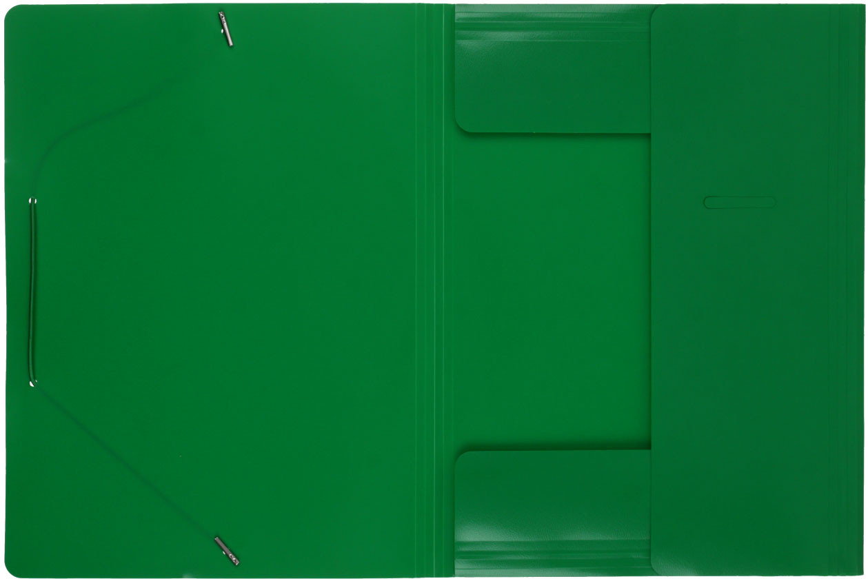 Папка пластиковая на резинке Buro  толщина пластика 0,5 мм, зеленая