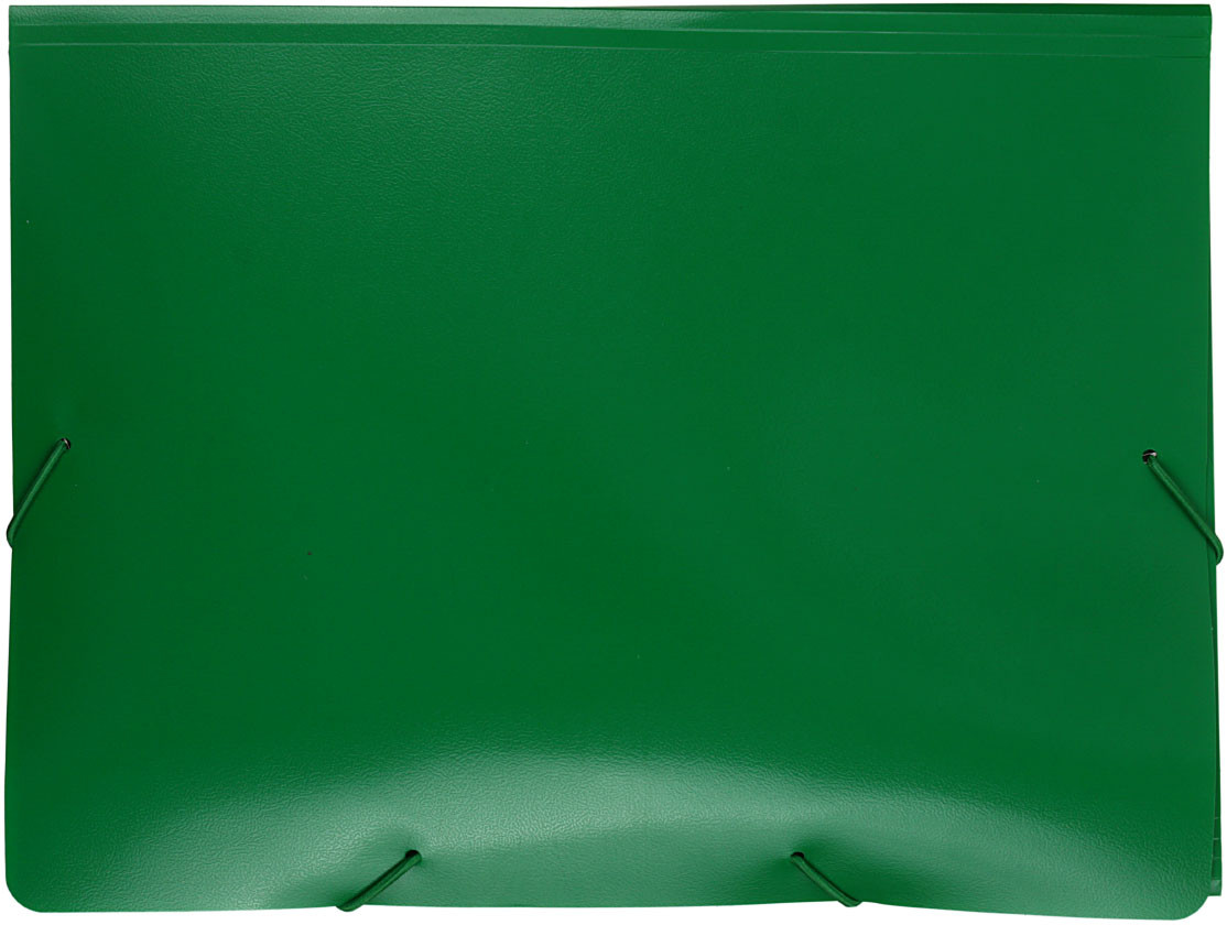 Папка пластиковая на резинке Buro толщина пластика 0,5 мм, зеленая - фото 3 - id-p214094178